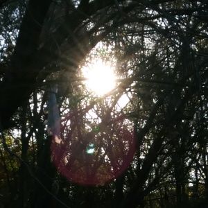 Meet your Posher, Chase